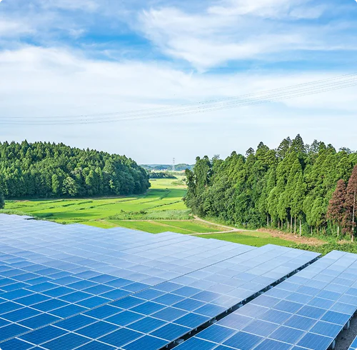太陽光発電所と緑豊かな自然環境